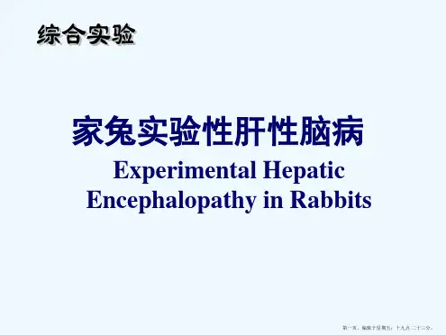 肝性脑病实验