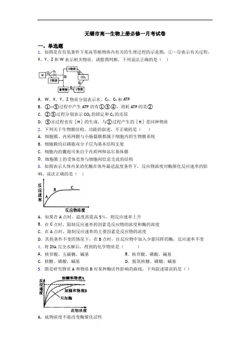 无锡市高一生物上册必修一月考试卷