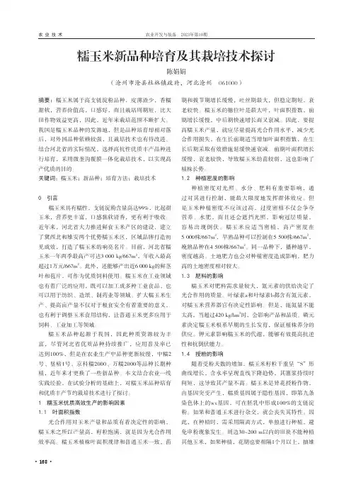 糯玉米新品种培育及其栽培技术探讨