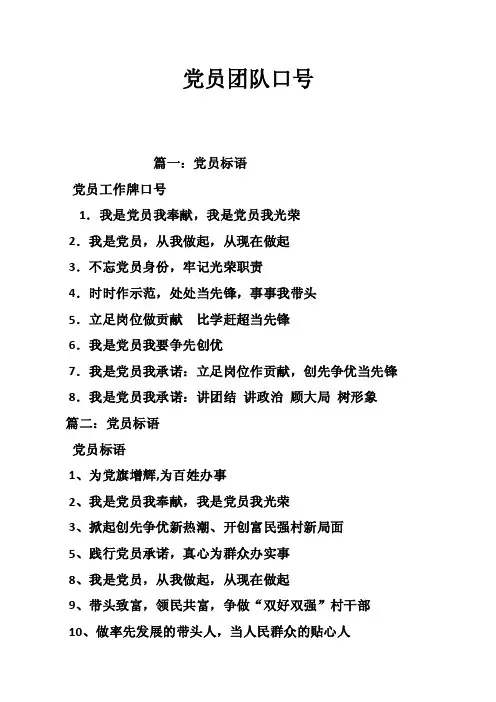党员团队口号