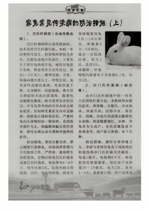 家兔常见传染病的防治措施(上)