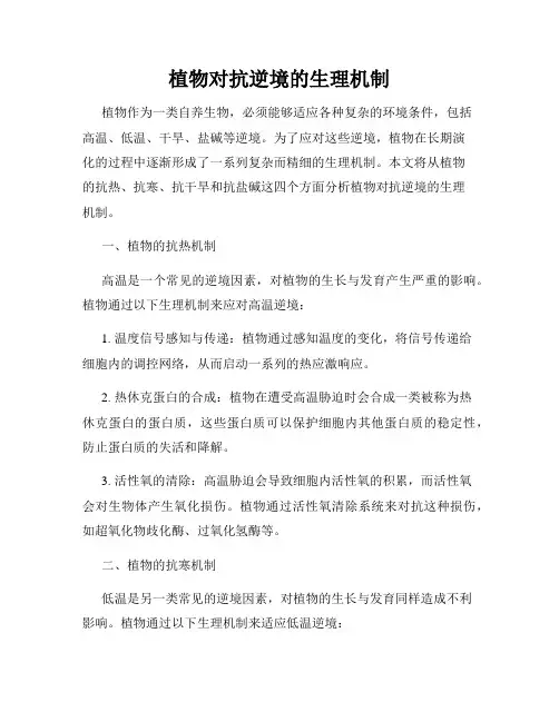植物对抗逆境的生理机制