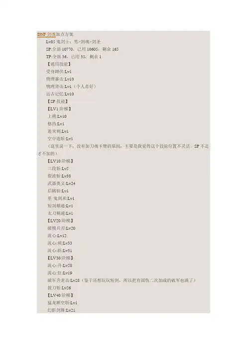 DNF85剑圣刷图加点