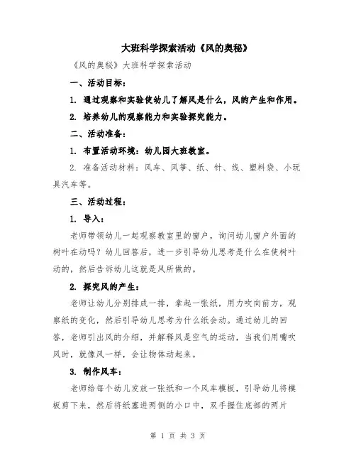 大班科学探索活动《风的奥秘》