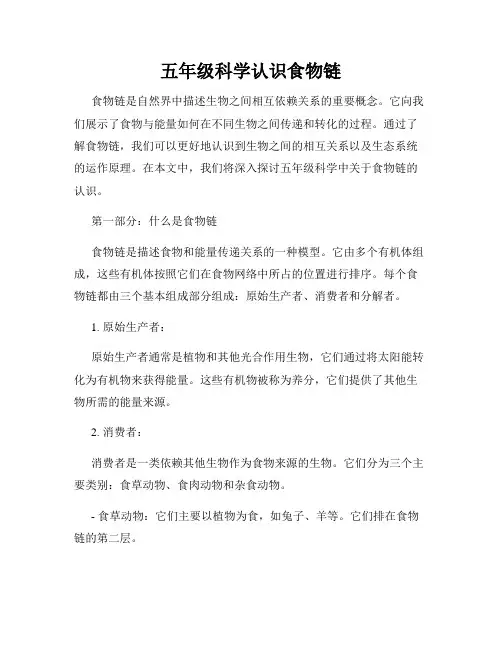 五年级科学认识食物链