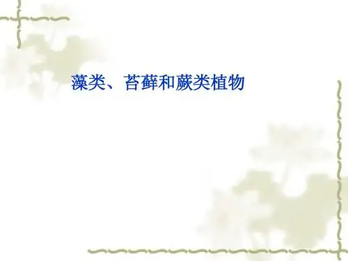 藻类、苔藓、蕨类植物