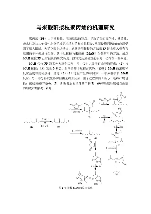 聚丙烯接枝马来酸酐机理