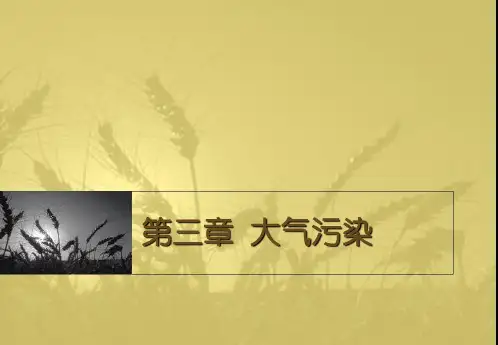 第三章 大气污染