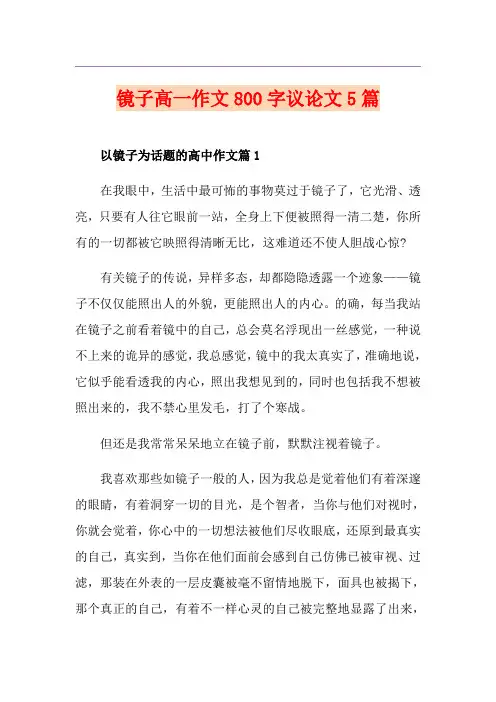 镜子高一作文800字议论文5篇