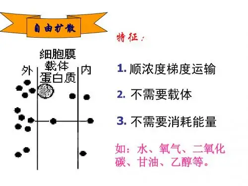 质壁分离.ppt