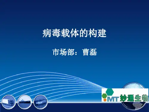 病毒载体的构建1