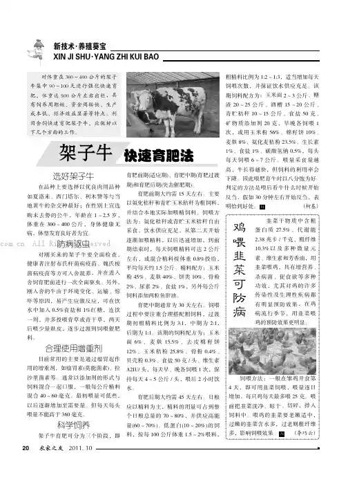 架子牛快速育肥法等2则