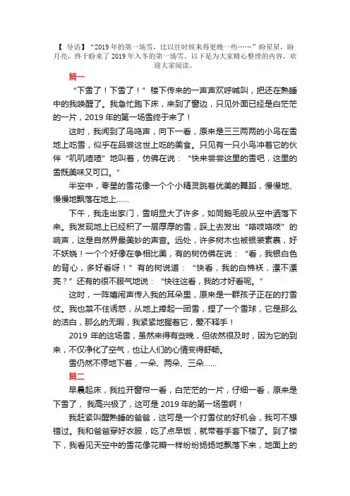 2019年入冬的第一场雪日记500字3篇