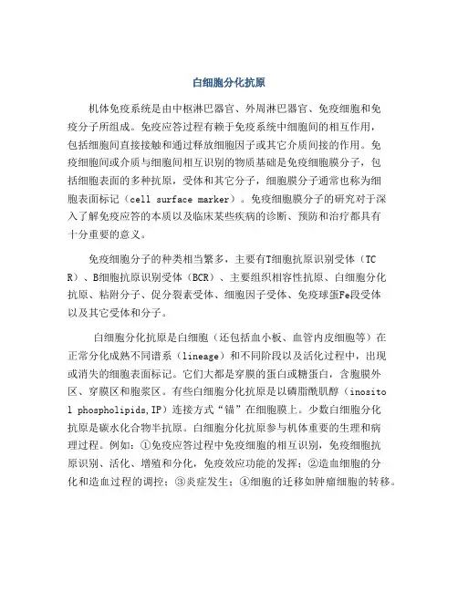 白细胞分化抗原