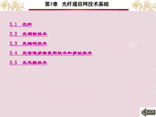 精品课件-光网络实用组网技术(乐孜纯)-第3章