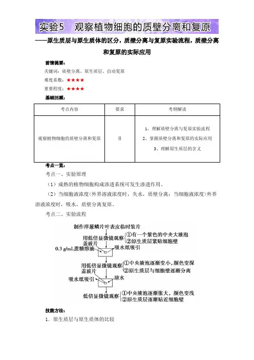 【人教版】高三上册生物基础实验：实验5 观察植物细胞的质壁分离和复原(含解析)