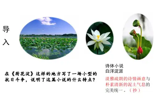 《荷花淀》课件42张统编版高中语文选择性必修中册