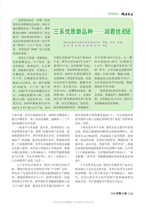 三系优质新品种——_润君优656