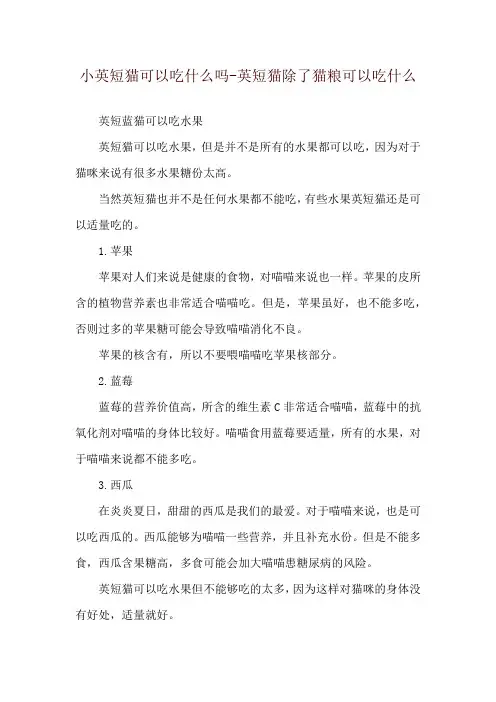 小英短猫可以吃什么吗-英短猫除了猫粮可以吃什么