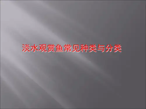 淡水观赏鱼常见种类与分类PPT课件共94页