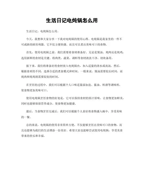 生活日记电炖锅怎么用