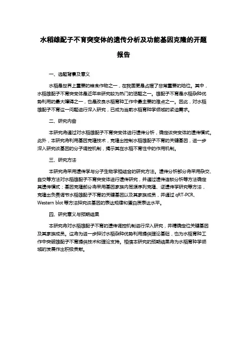 水稻雄配子不育突变体的遗传分析及功能基因克隆的开题报告