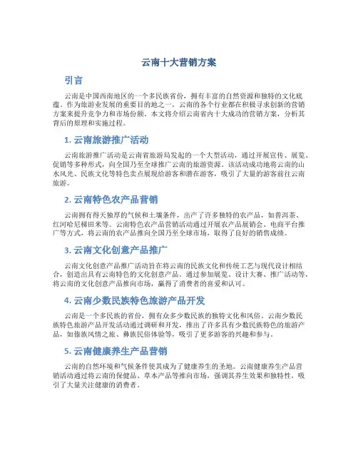 云南十大营销方案