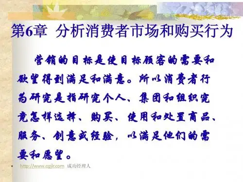 第6章  消费者行为研究