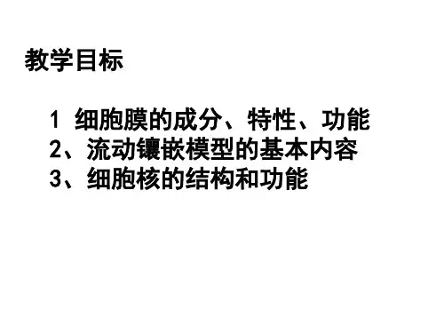 细胞膜于与细胞核一轮复习