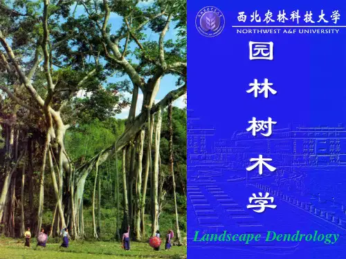 【课件】园林植物-树木学-1 绪论(1学时)