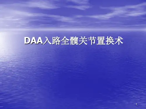 DAA入路全髋关节置换术ppt课件