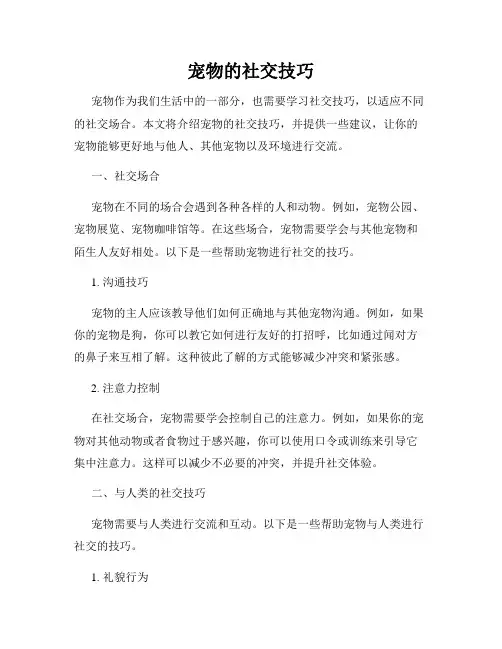 宠物的社交技巧