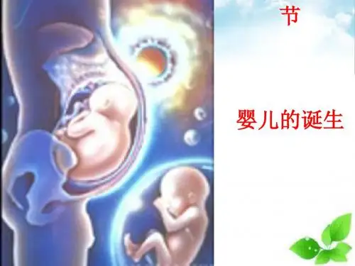 婴儿的诞生课件PPT 3