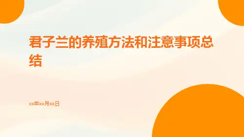 君子兰的养殖方法和注意事项总结