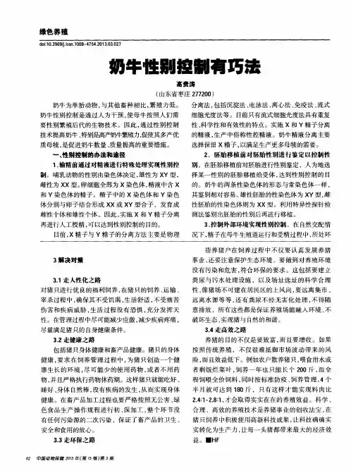 奶牛性别控制有巧法