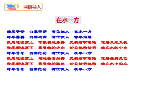 第12课《蒹葭》课件(共22张ppt)