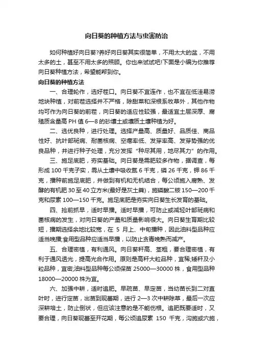 向日葵的种植方法与虫害防治