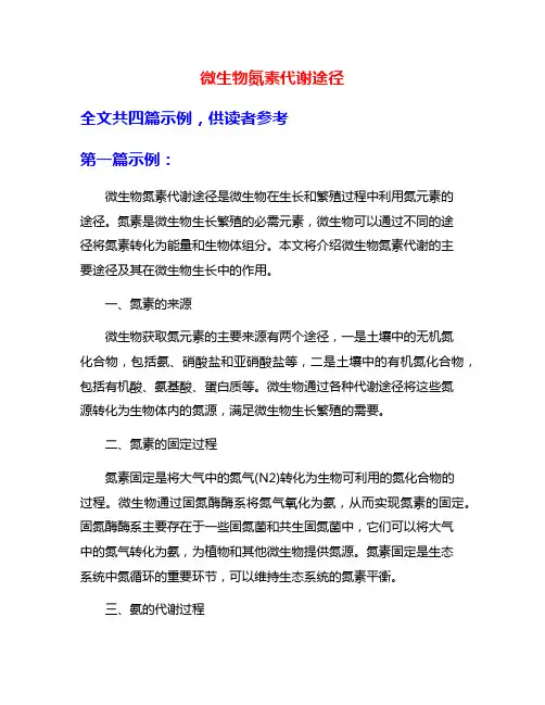 微生物氮素代谢途径
