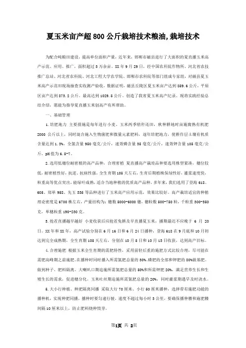 夏玉米亩产超800公斤栽培技术粮油,栽培技术