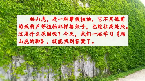 部编人教版四年级语文上册《爬山虎的脚》完整课件
