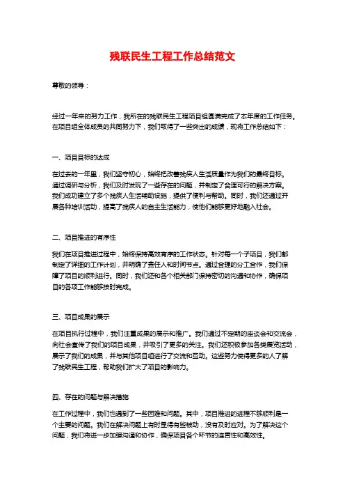 残联民生工程工作总结范文