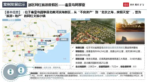 阿那亚案例详细分析