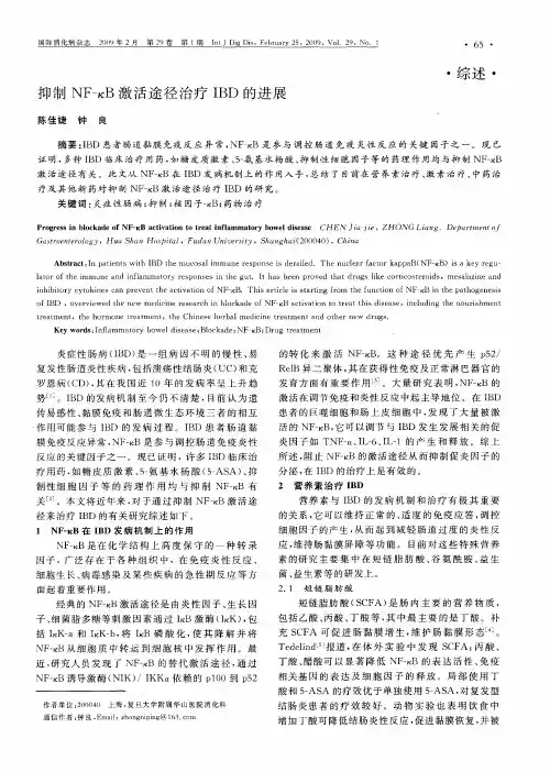 抑制NF—κB激活途径治疗IBD的进展