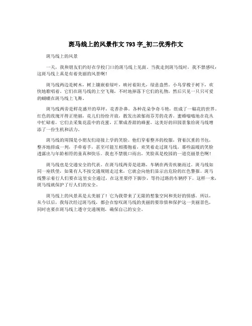 斑马线上的风景作文793字_初二优秀作文