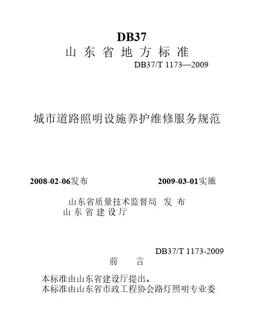 城市道路照明设施养护维修服务规范