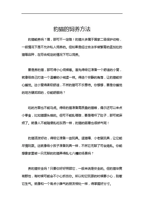 豹猫的饲养方法