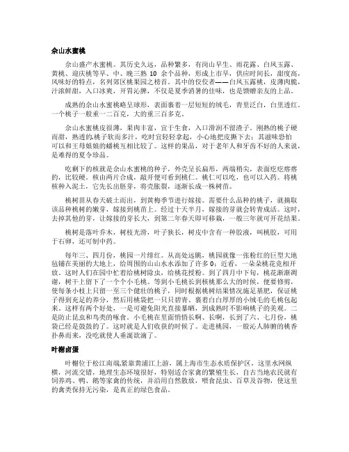 上海松江区美食攻略