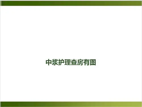 中浆护理查房有图课件PPT