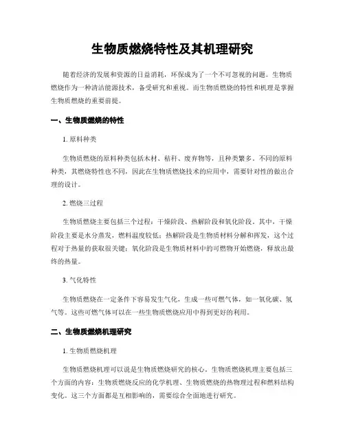 生物质燃烧特性及其机理研究