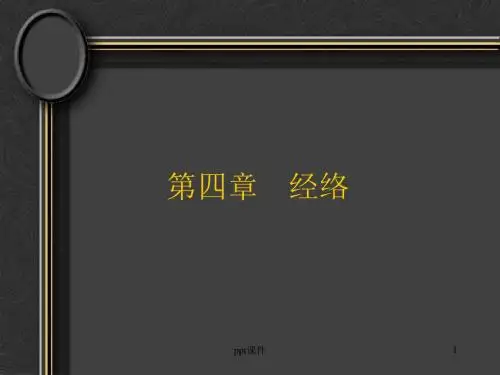 中医基础理论经络  ppt课件